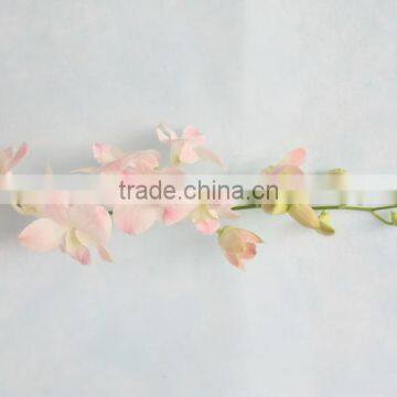 Various Best Selling High Simulation Wholesale Butterfly Orchid photo-4