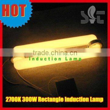 300W High Wattage 2700K Plant Grow Induction Lamp