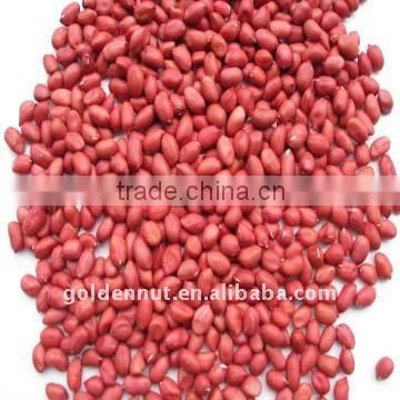 Red Skin Peanut Kernels