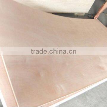 18MMX1220X2440 Competitive Price Commercial Plywood photo-4