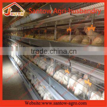 China supplier new equipment poultry algeria