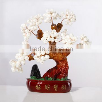 Chinese Money Trees hot sales