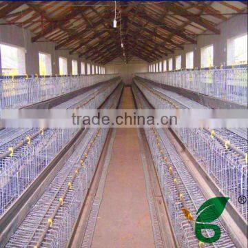 battery cage for commercial broiler