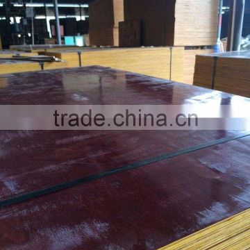 E1 glue cheap eucalyptus core plywood for construction