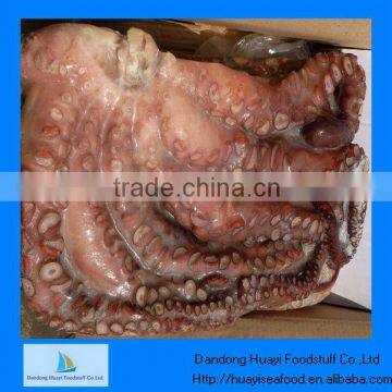 High quality fresh octopus