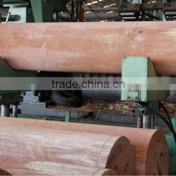 Wood Veneer Used for Plywood/engineered Wood Veneer/PLB Veneer