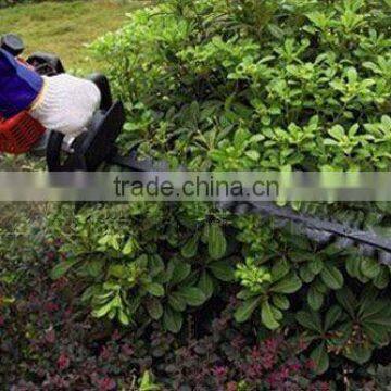 Cutting grass saw/ sega