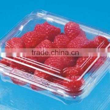 Disposable Transparent Plastic Fruit clam shall Packaging Boxes