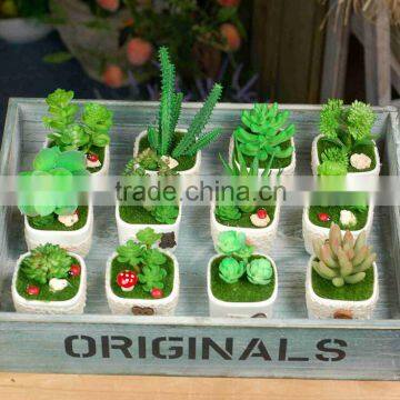 Home Garden Decoration Artificial Succulent Pots Wholesale Bonsai Pot