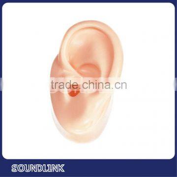 Display Hearing Aid Demo Ear Model Made of Silicone photo-3