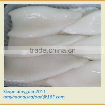 Frozen Squid TO size 3/5 (Loligo Chinese)