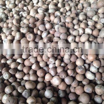 HOT DEAL SELL/BUY DRIED WHOLE BETEL NUT GOOD CUT 90% (website: anda.ty, VIBER, WHATSAPP: +841687264621)