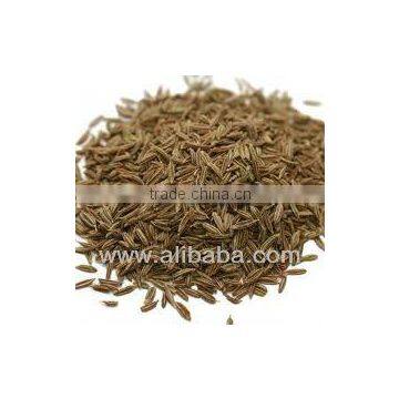 Dried cumin seeds