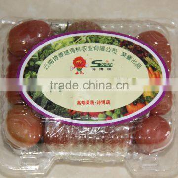 Export Fresh Sweet Cherry Tomato photo-4