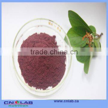 Excellent Quality Unique Pompom for Chart Paper Craft Decoration photo-4