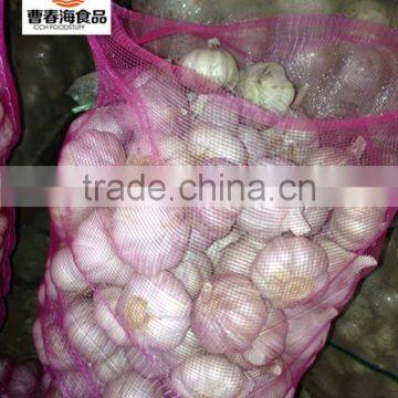China New Crop Dried White Garlic photo-6
