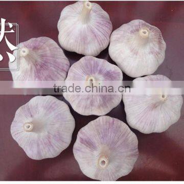 YUYUAN Brand Hot Sail Fresh Garlic Black Garlic Extract