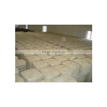 Shankar-6 Raw Cotton For Export