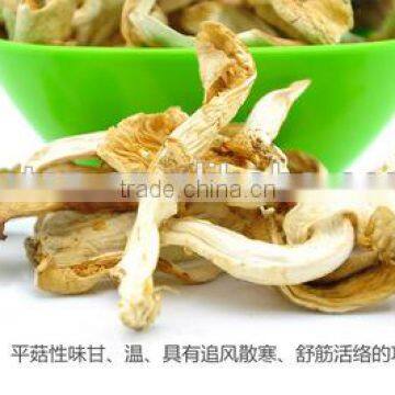 Dried Hot Sell Oyster Mushroom photo-4