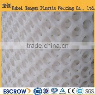 HDPE /PP Plastic Flat Netting photo-3