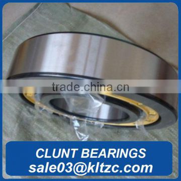 Motorcycle wheel cylinder bearing SL185013