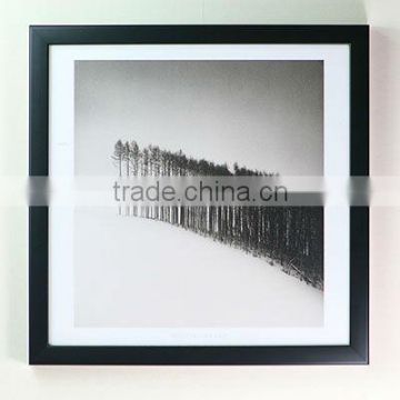 black and white decorative picture