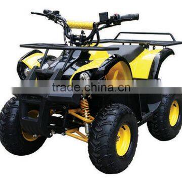 800W Brushless Motor / Shaft Elelctric Quad ATV 800W (TKE-A800-G) photo-2