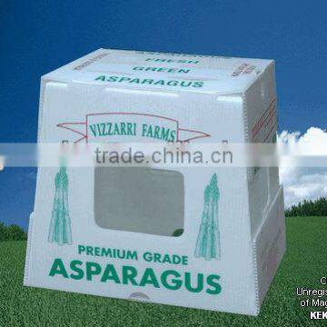 Corrugated plastic fruit tray