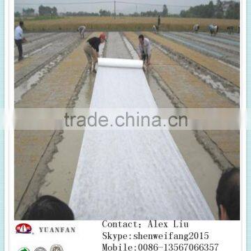 30gsm White Anti-UV Non Woven Used for Plant Cover photo-4