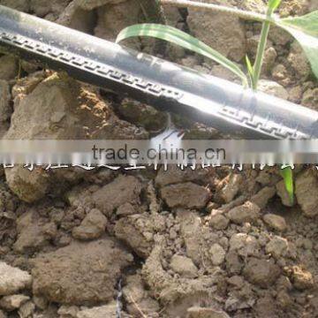 Single labyrinth type drip irrigation tube