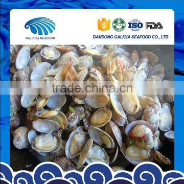 Boiled Baby Clam Nature Fresh FAO61