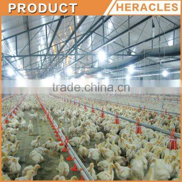 Heracles Suppliers Hot Sale Chicken Poultry Farm Equipment photo-2