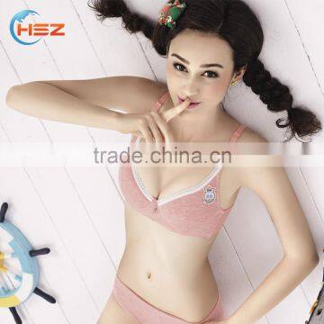 HSZ-2234 Wholesale Sexy Undergarments For Ladies Fancy Bra Panty Set Special Design Hot Girls Photo New Model Bra Women Lingerie