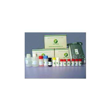 Streptomycin ELISA Test Kit photo-2