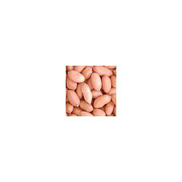 New Crop Chinese Peanut Kernels