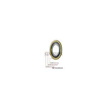 Spiral wound Gasket