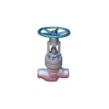 The power station Globe valve