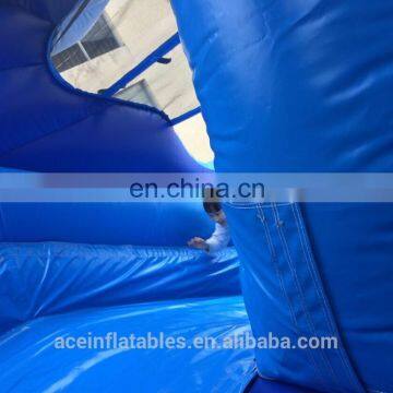PVC,PVC Tarpauline Material and Slider,Castle Type Big Water Slide Pool photo-4