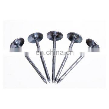 Hot Sale Twist Roofing nail(SW-043B)