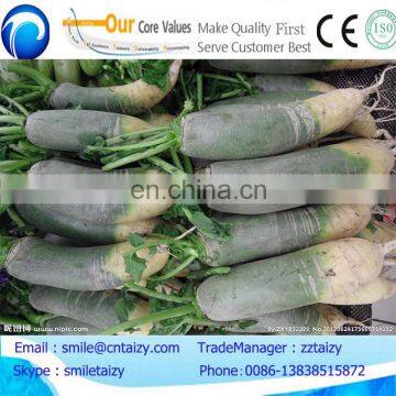 agriculture used white and green radish harvester machine