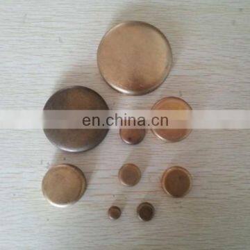 High Quality Overall Water Blocking Core Hole Plug 190003989289 for Heavy Truck photo-2