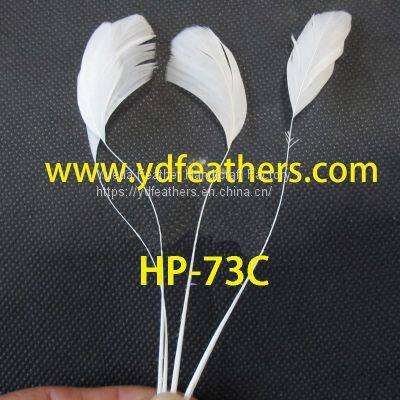 Stripped Rooster/Coque/Cock Tail Feather Natural White From China