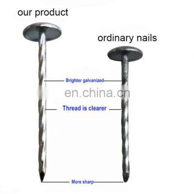 Galvanized Umbrella Head Roofing Nails With Smooth/Twist Shank by Low Price photo-5