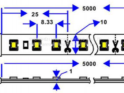 SMD 2216 120LED/M Led Strip Light