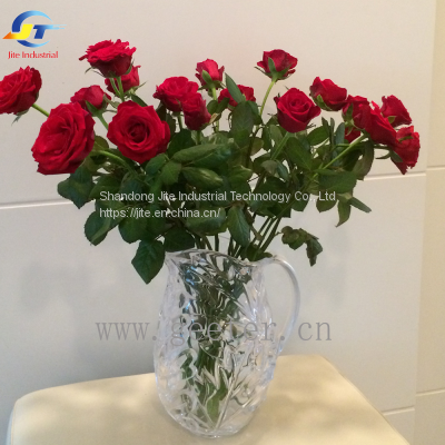 China Custom Plastic Products Transparent Acrylic Fruit Plate photo-2