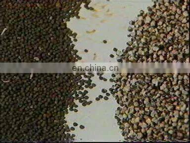 High Round Automatic Traditional Chinese Medicine Pill Making Machine photo-4