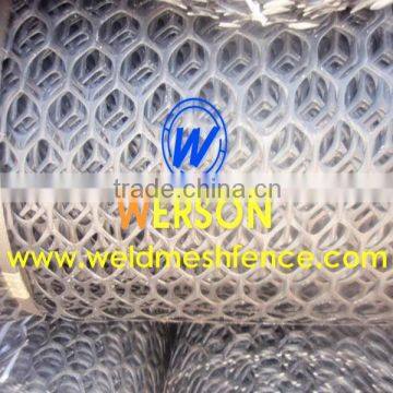 Grass Protection Mesh photo-4