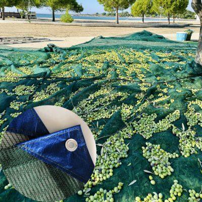 Olive Harvest Net 90gsm Green Olive Net 6*12m, 5*10m, 7*11m ,4*8m Olive Collecting Net For Sale