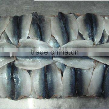 Canned Mackerel Fillet