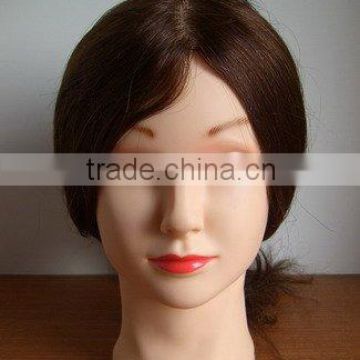 training mannequin head